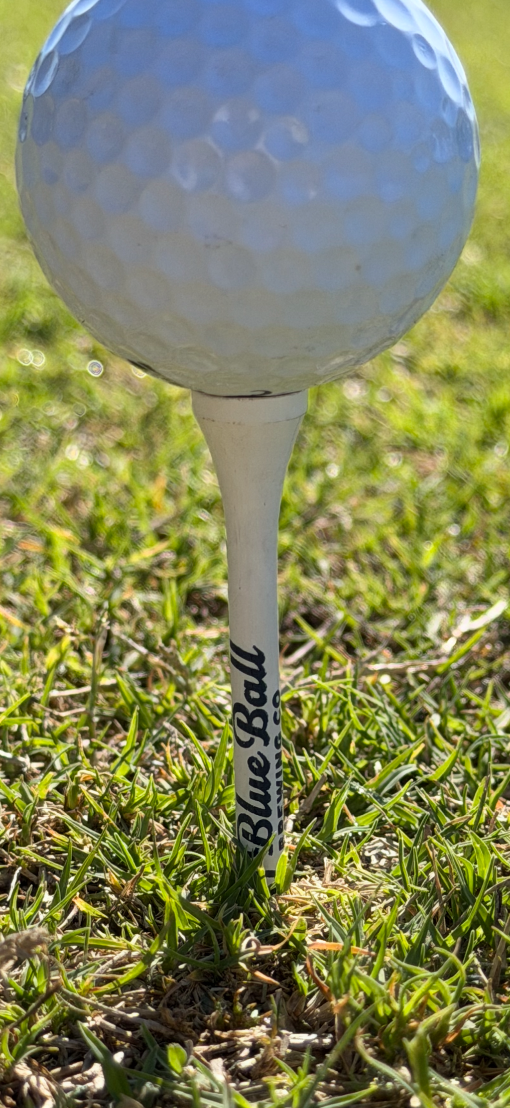 Blue Ball Brewing Golf Tee Pack (10-Pack)